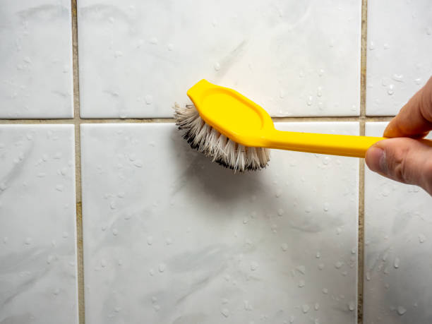 Best Residential Mold Removal  in Princeton, IL