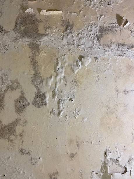 Water Damage Restoration in Princeton, IL