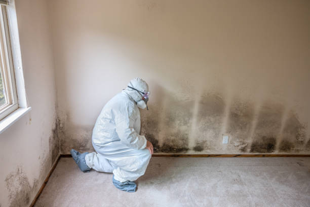 Best Crawl Space Mold Removal  in Princeton, IL